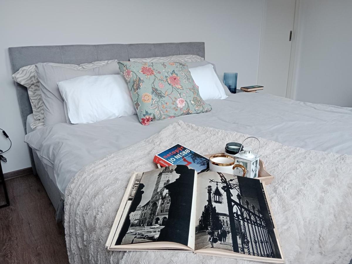 J&Z Apartman Olomouc Buitenkant foto